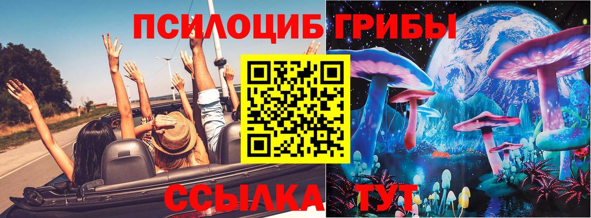 Галлюциногенные грибы Cubensis Волжск